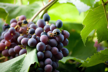 Similar image 17244094