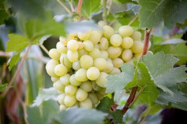 Similar image 17244095