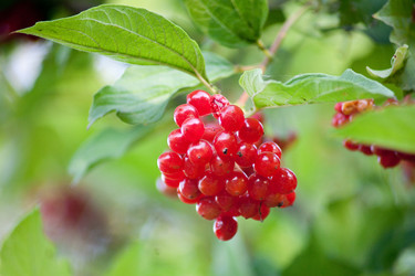 Similar image 17244096