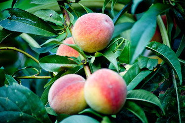 Similar image 17244097