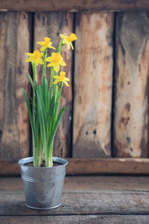 Similar image 16926995