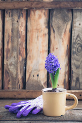 Similar image 16926996