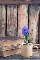 Similar image 16926998