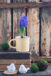 Similar image 16926999