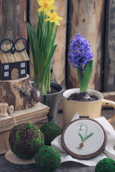 Similar image 16927018