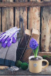 Similar image 16927019