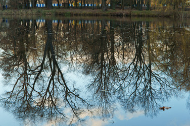 Similar image 17271342