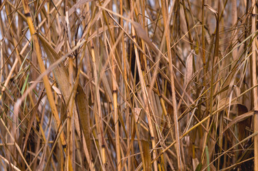 Similar image 17244331