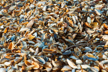 Similar image 17238243