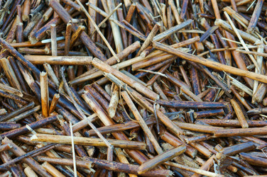 Similar image 17238246