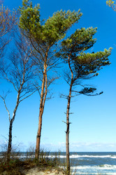 Similar image 17244355