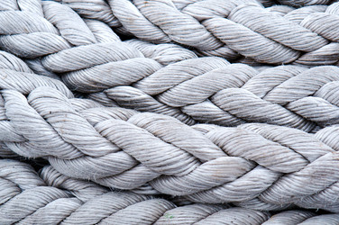 Similar image 17238254