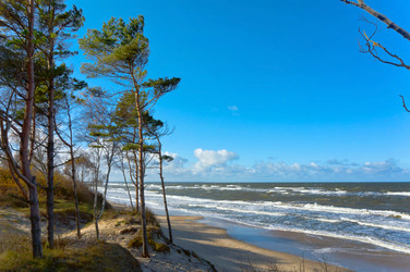 Similar image 17244354