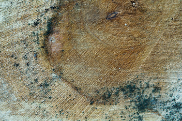 Similar image 17238268