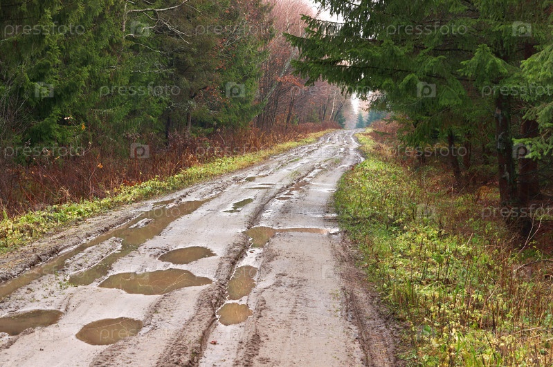 Фотография на тему Лужи и грязь на грунтовой дороге | PressFoto