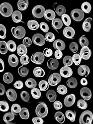 Similar image 16926905