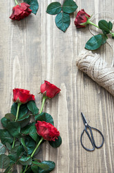 Similar image 16933300