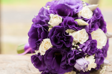 Similar image 17244082