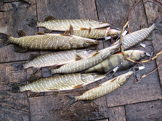 Similar image 16926824