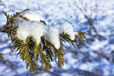 Similar image 16926856