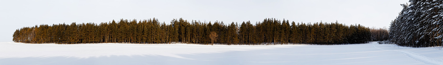 Similar image 17238144