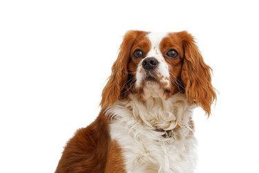 Similar image 17238089