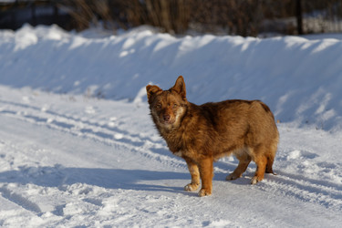 Similar image 17238090