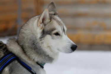 Similar image 17238092