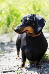 Similar image 17238095