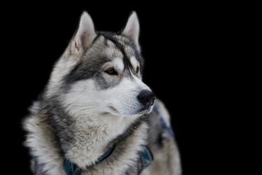 Similar image 17238096