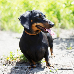 Similar image 17238097