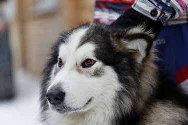 Similar image 17238098