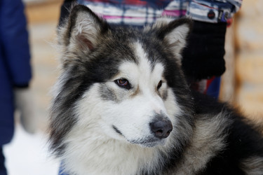 Similar image 17238100