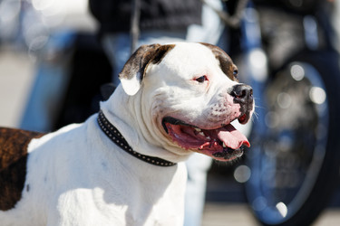 Similar image 17238101