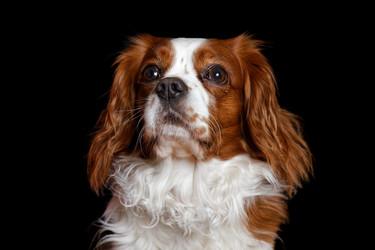 Similar image 17238102