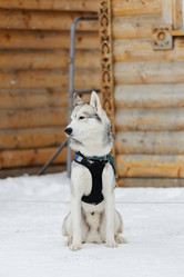 Similar image 17238104