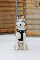 Similar image 17238106