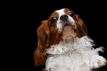 Similar image 17238107