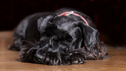 Similar image 17238109