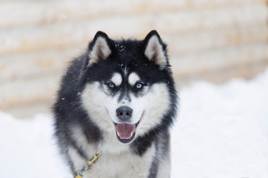 Similar image 17238110