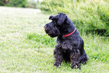 Similar image 17238111