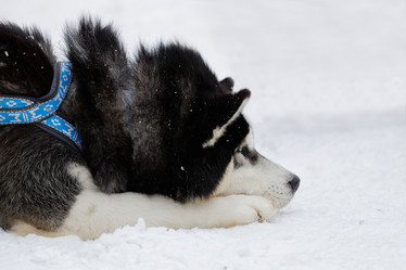 Similar image 17238114