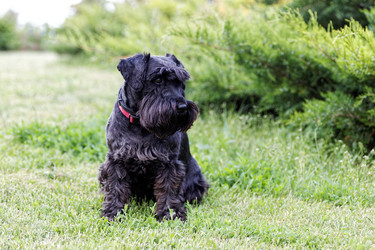 Similar image 17238118