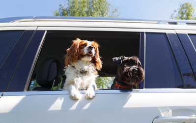 Similar image 17238131