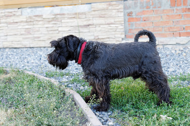 Similar image 17238121