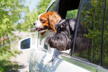 Similar image 17238122