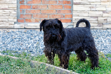 Similar image 17238124