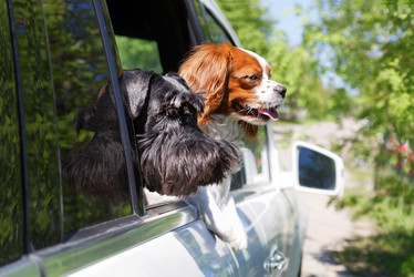 Similar image 17238125