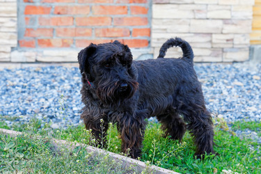 Similar image 17238126