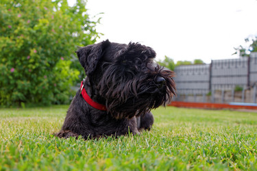 Similar image 17238127